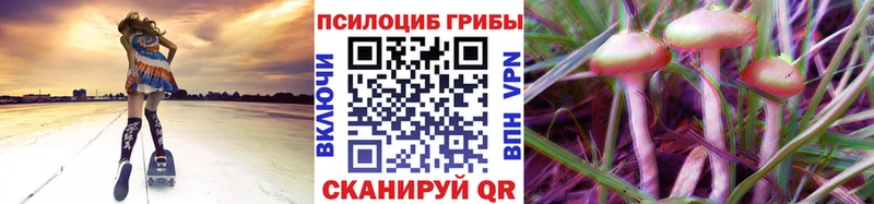 Псилоцибиновые грибы Cubensis  продажа наркотиков  mega ссылка  Томмот 
